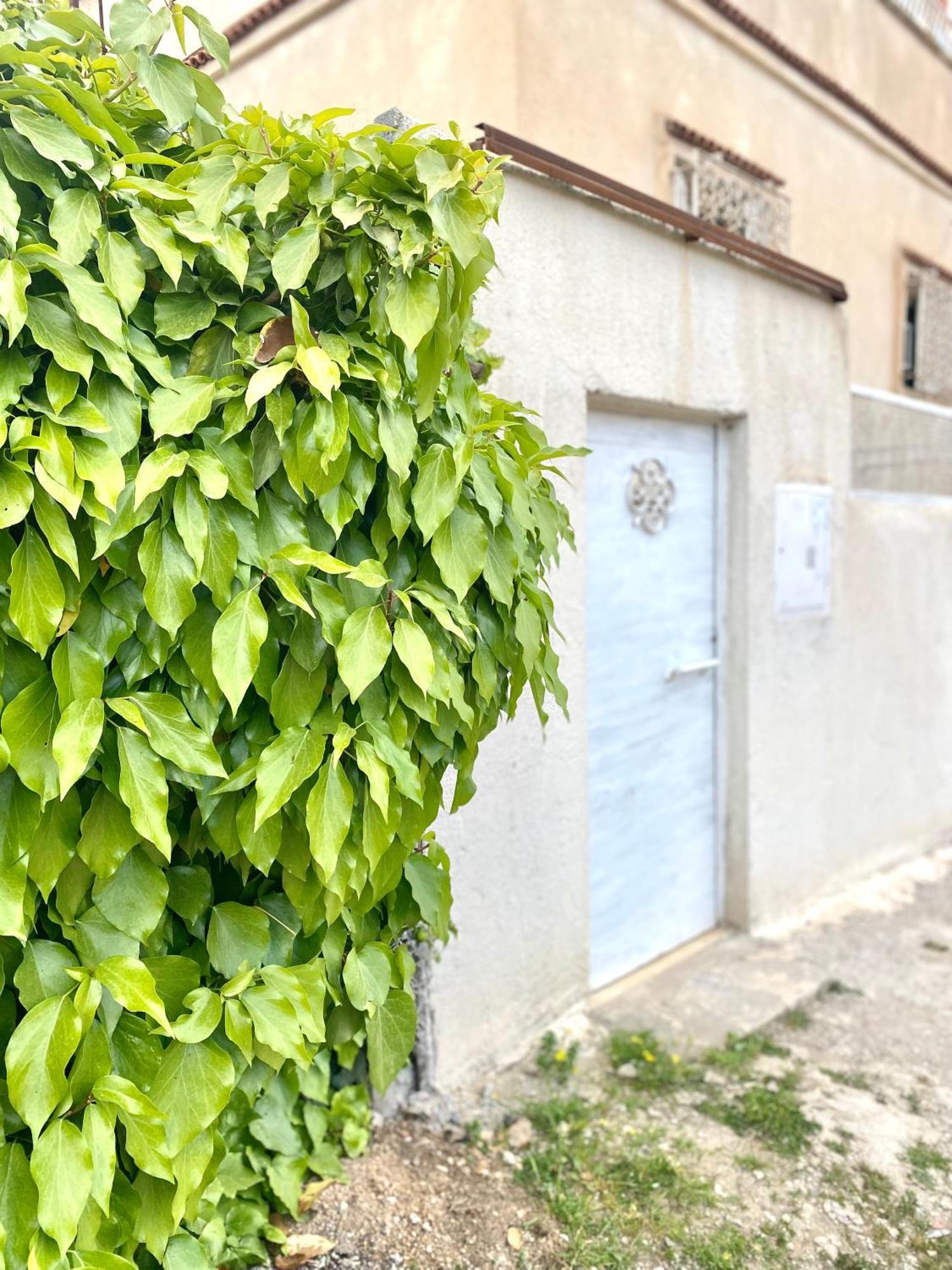 Hostel Le Rhumel Constantine Ngoại thất bức ảnh
